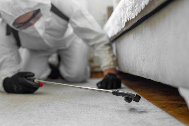 Professional Termite Control technician working in Staples, MN