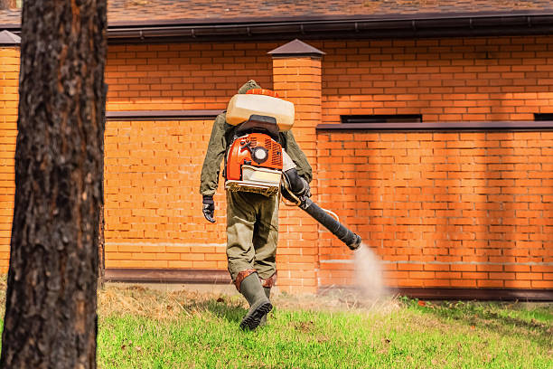 Top rated local Termite Control specialists in Staples, MN
